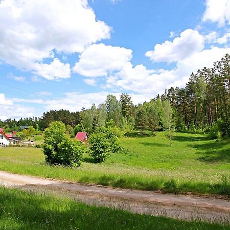 Domki Wczasowe Mazury - Ferienhaus Masuren - Do 12 Osob - Idealny Dla Grup Dluzek Экстерьер фото